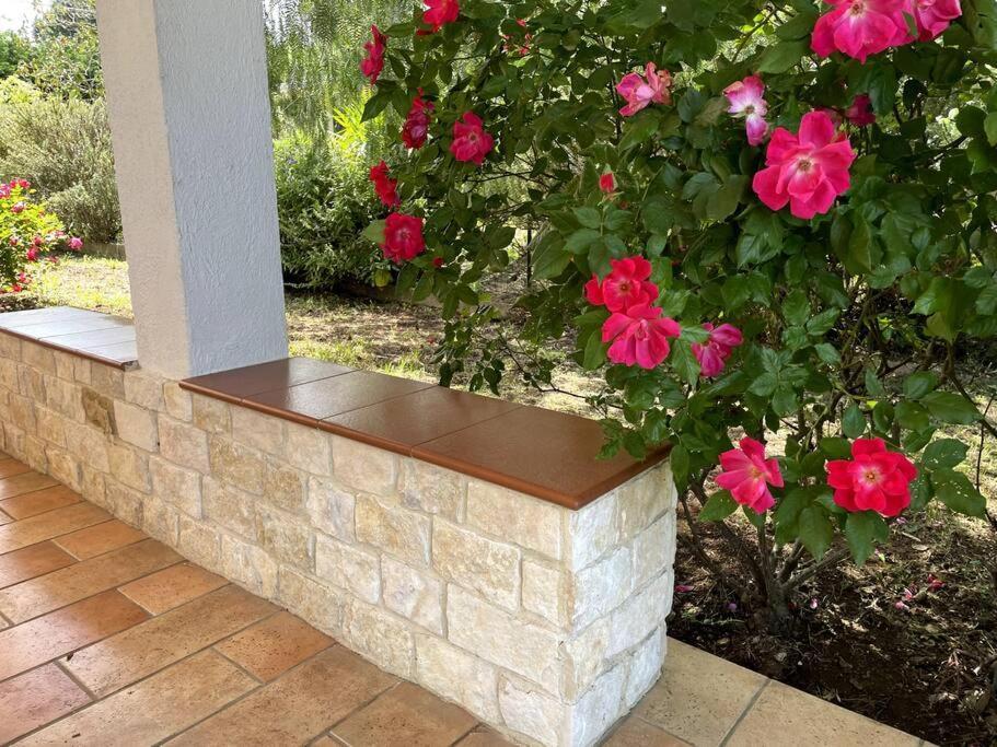 Rose Country Villa Cassano delle Murge Exterior photo
